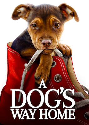 A Dog's Way Home